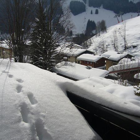 Appartement Bernkogel Saalbach-Hinterglemm Dış mekan fotoğraf