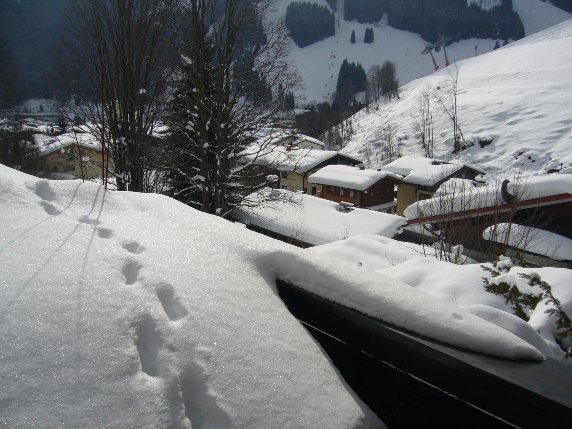 Appartement Bernkogel Saalbach-Hinterglemm Dış mekan fotoğraf
